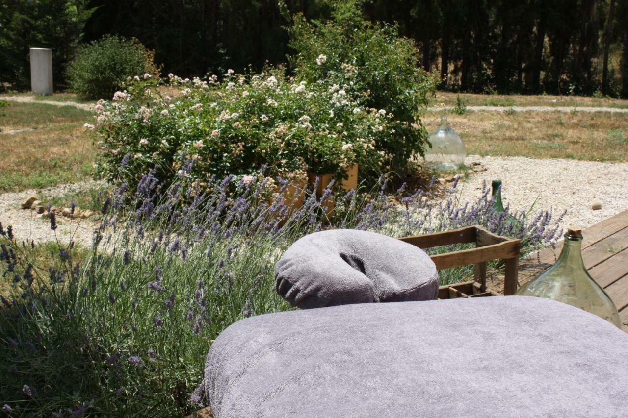 Villa La Bohème Seillans Esterno foto